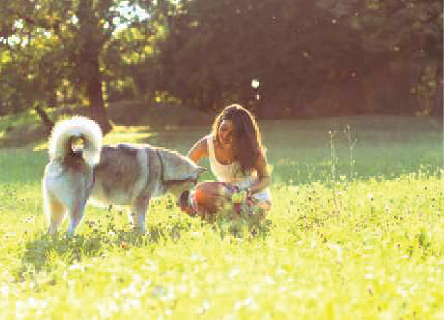 Pet Park